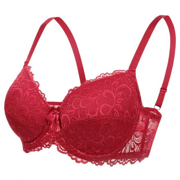 Plus Size Sexy Lace Bra